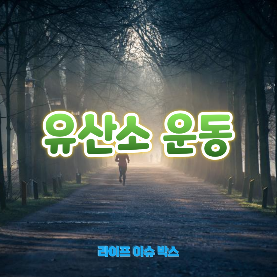 유산소 운동법