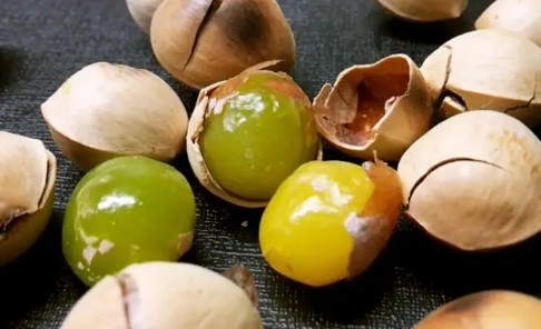 독소를 가진 가을 제철음식 5가지