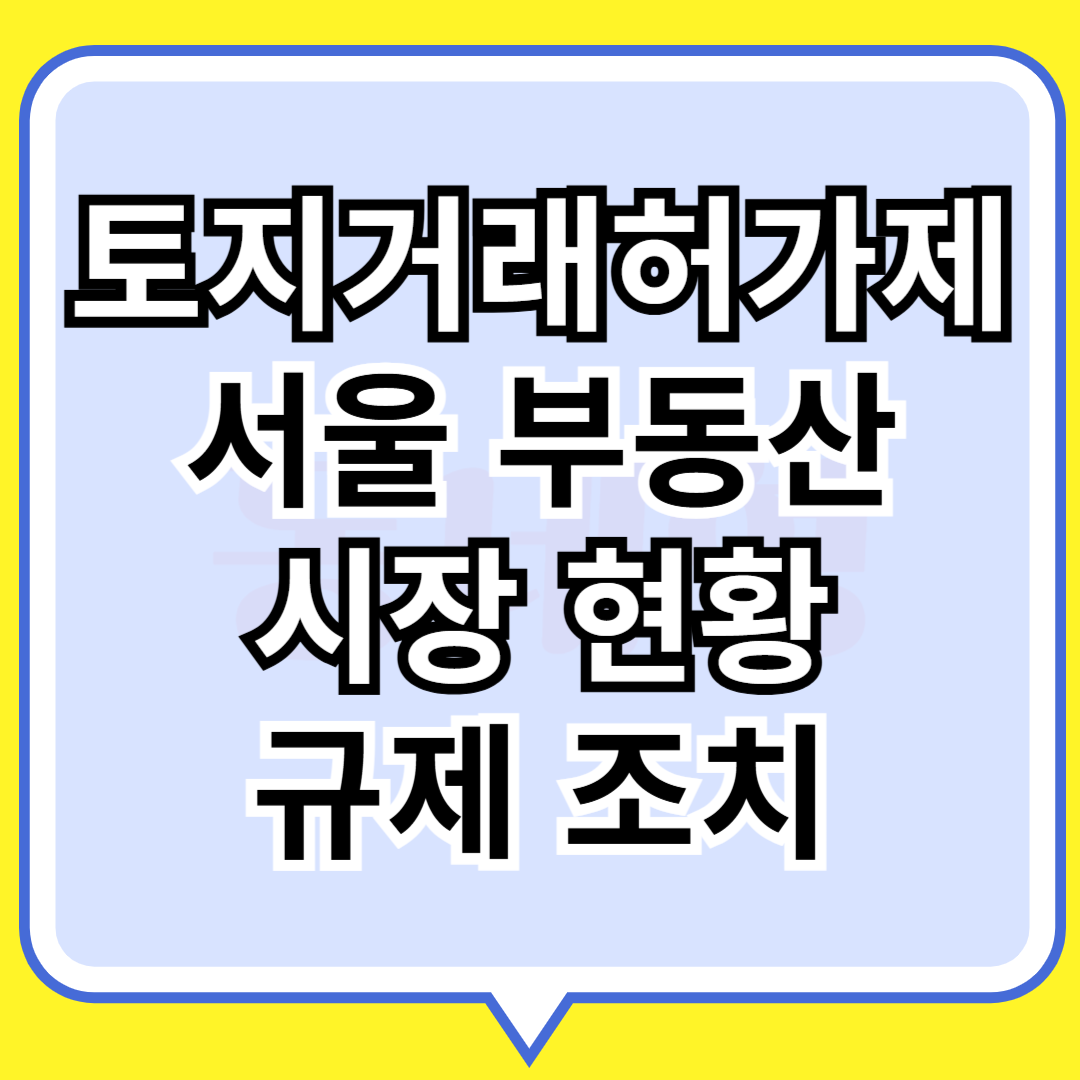 토지거래허가제 서울부동산 시장현황-규제조치