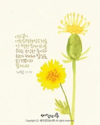 매일성경묵상과 은혜(누가복음 15장 11-32절) 잃었다가 다시 얻은 기쁨_19