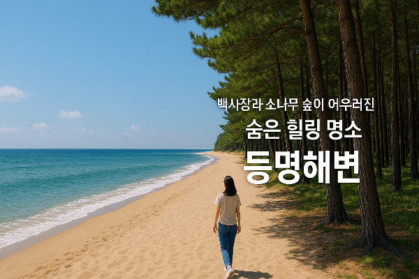 강릉 등명해변 여행｜백사장과 소나무 숲이 어우러진 강원도의 숨은 힐링 명소