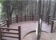 인천대공원 반려견 놀이터