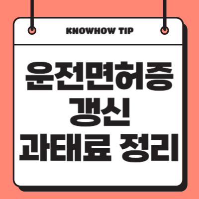 운전면허증-갱신-과태료