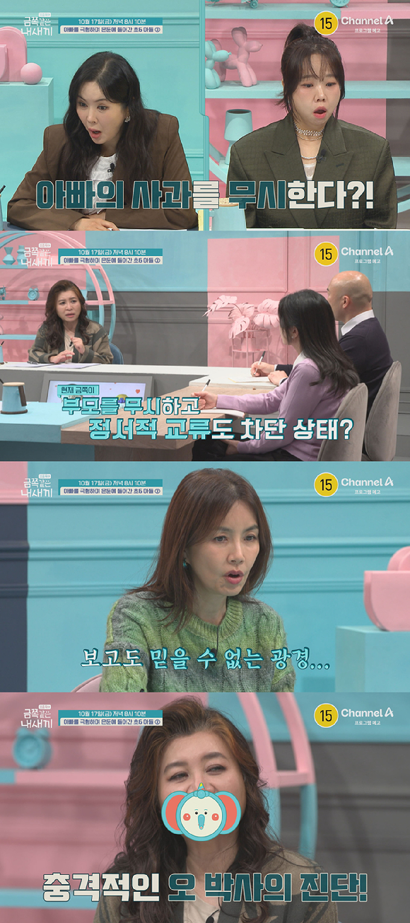 금쪽같은 내새끼 [사진=채널A ]