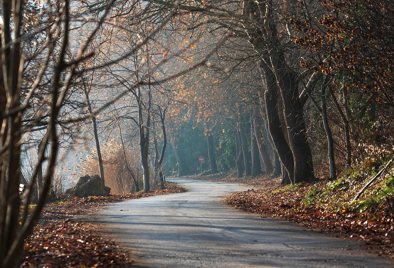 아쿠아포닉스 작업자 안전수칙과 사고 예방 매뉴얼: 안전한 농장 운영을 위한 완벽 가이드