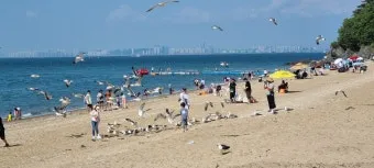 장경리 해수욕장 소개 및 여름 영흥도 여행 코스 추천_7