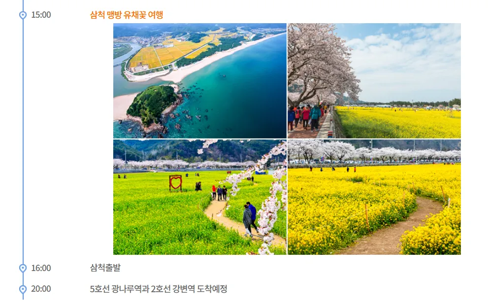 강원도 삼척 맹방 유채꽃 여행자클럽 버스 투어