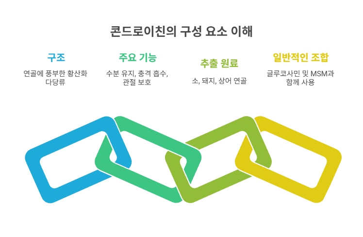 콘드로이친은 어떤 성분일까?