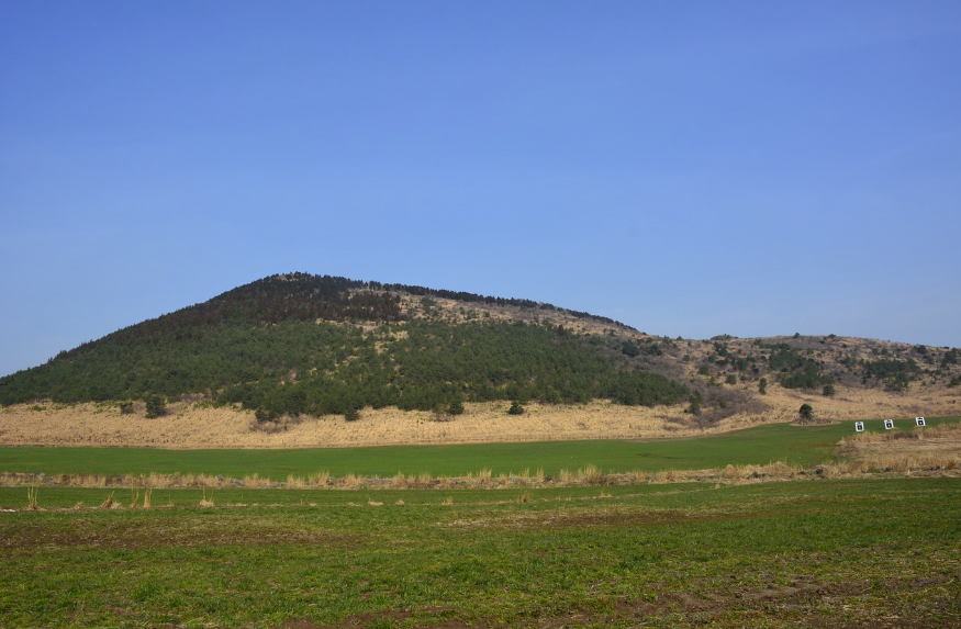 제주 가족여행 추천 (명소, 맛집, 일정) 관련사진