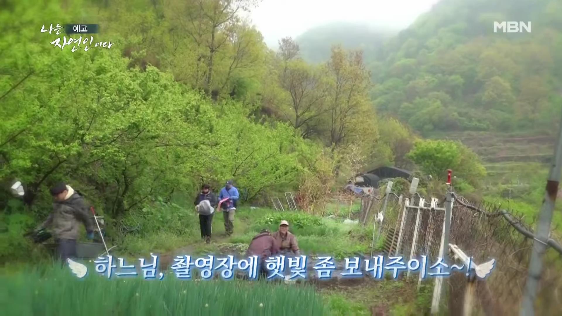 나는 자연인이다 42년 공무원 출신 산야초 대통밥 봄 나물 전 행복산 사랑동사무소 자연인 강이규 소개 및 이승윤 출연 552회 다시보기