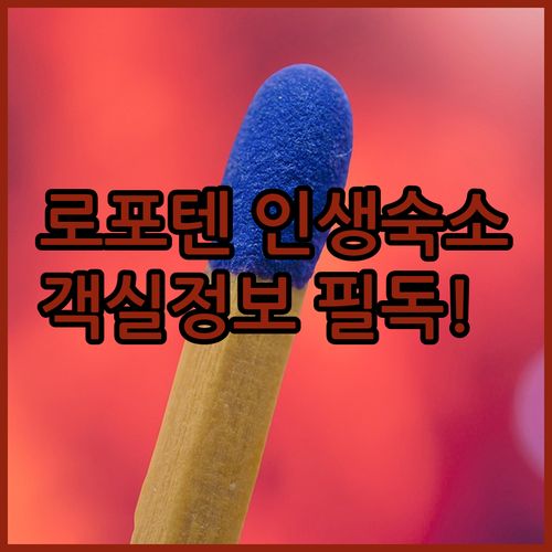 로포텐 여행 스볼베르 호텔 추천 리스..