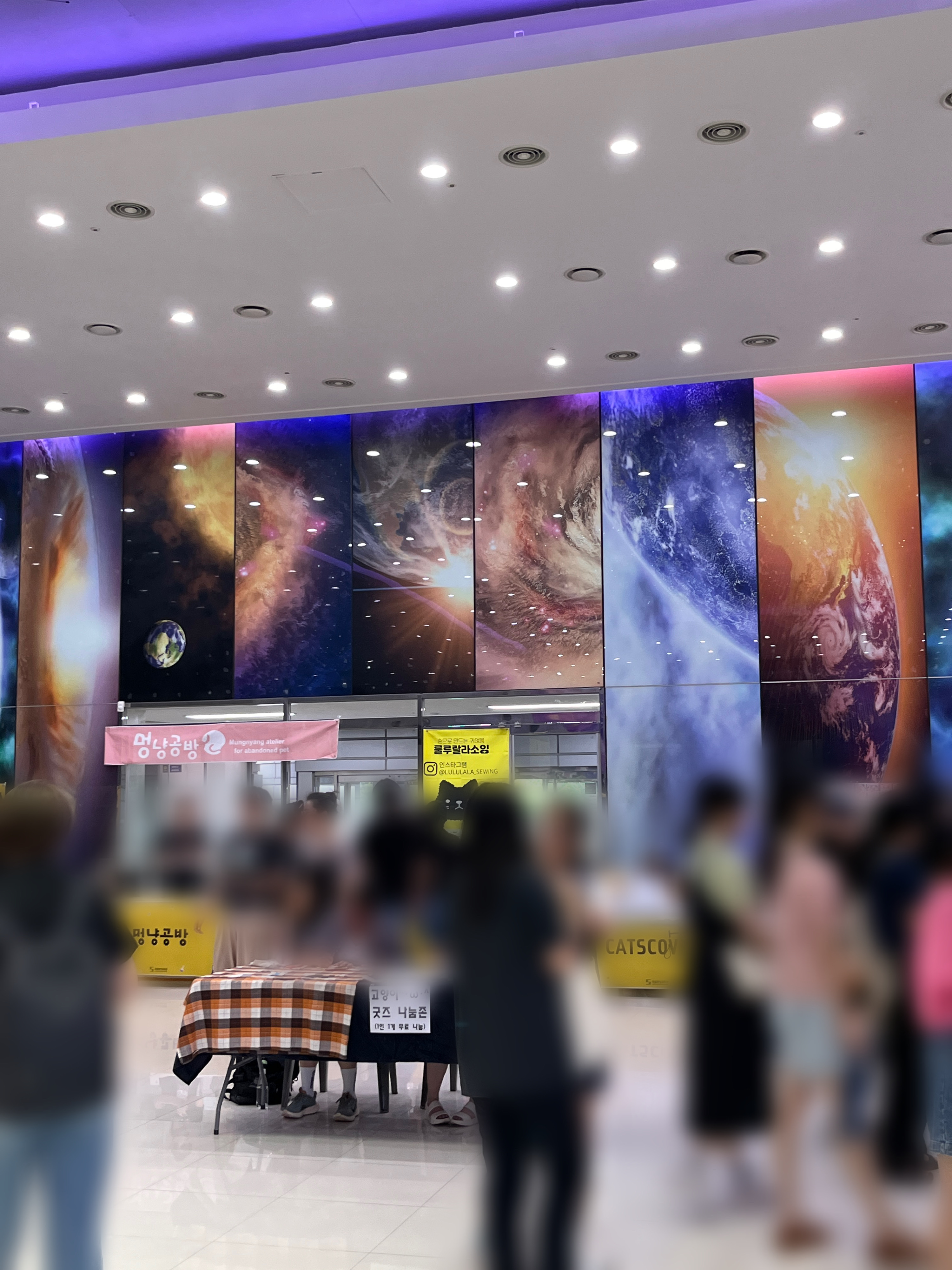 냥냥이학술대회