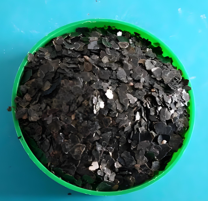 흑운모(Biotite)