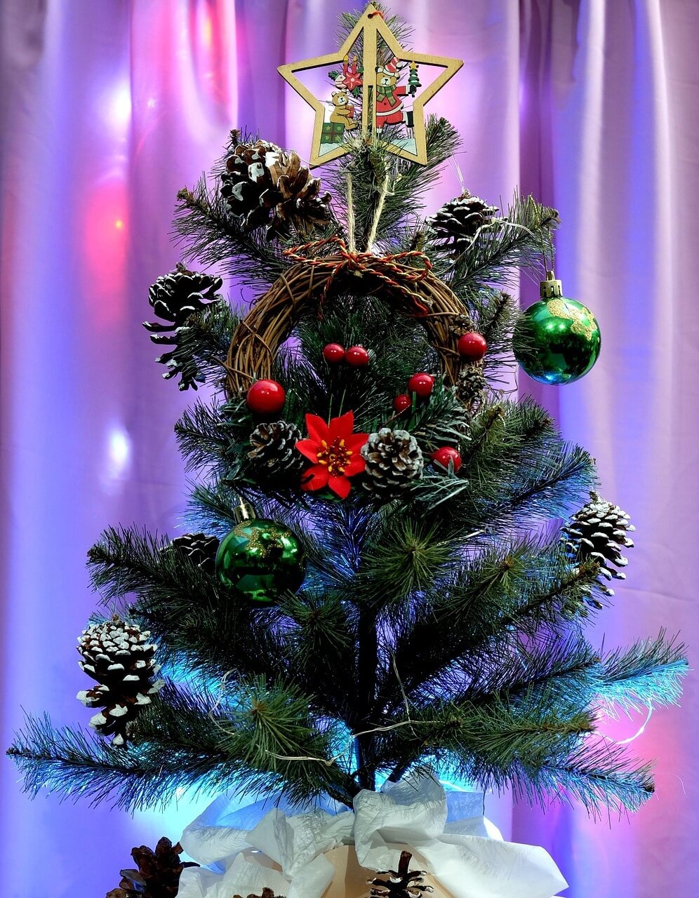 세종 빛트리 축제 이응다리