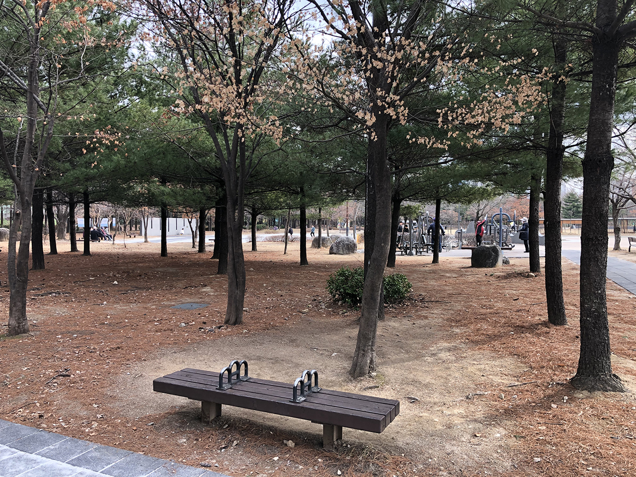 작은 숲