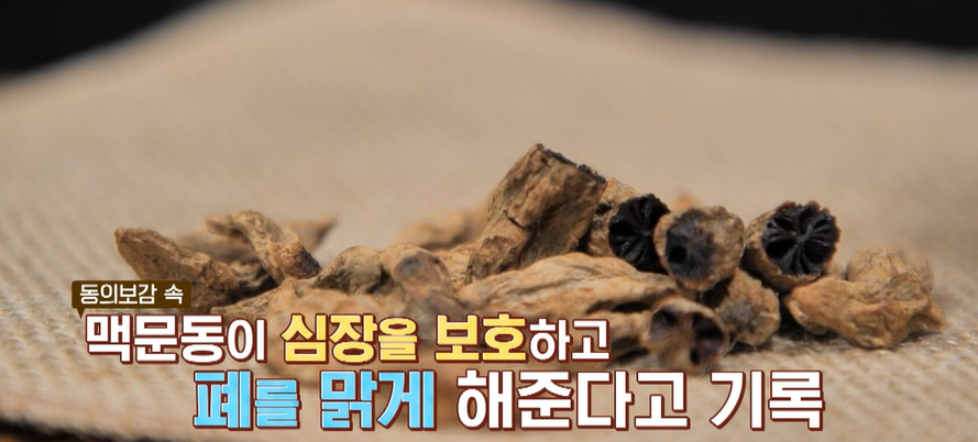 맥문동 효능
