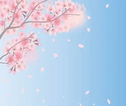 청와대 관람신청