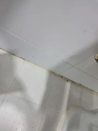 욕실 곰팡이 락스 희석비율과 안전수칙 환기방법_17