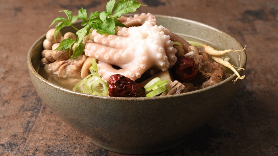 낙지 요리 레시피 총정리