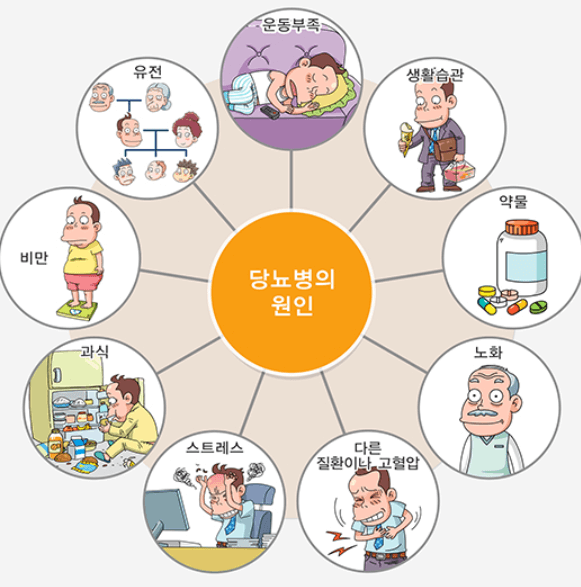 당뇨병의 원인을 설명한 이미지