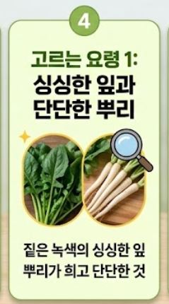 냉이 손질법 및 싱싱한 보관 꿀팁