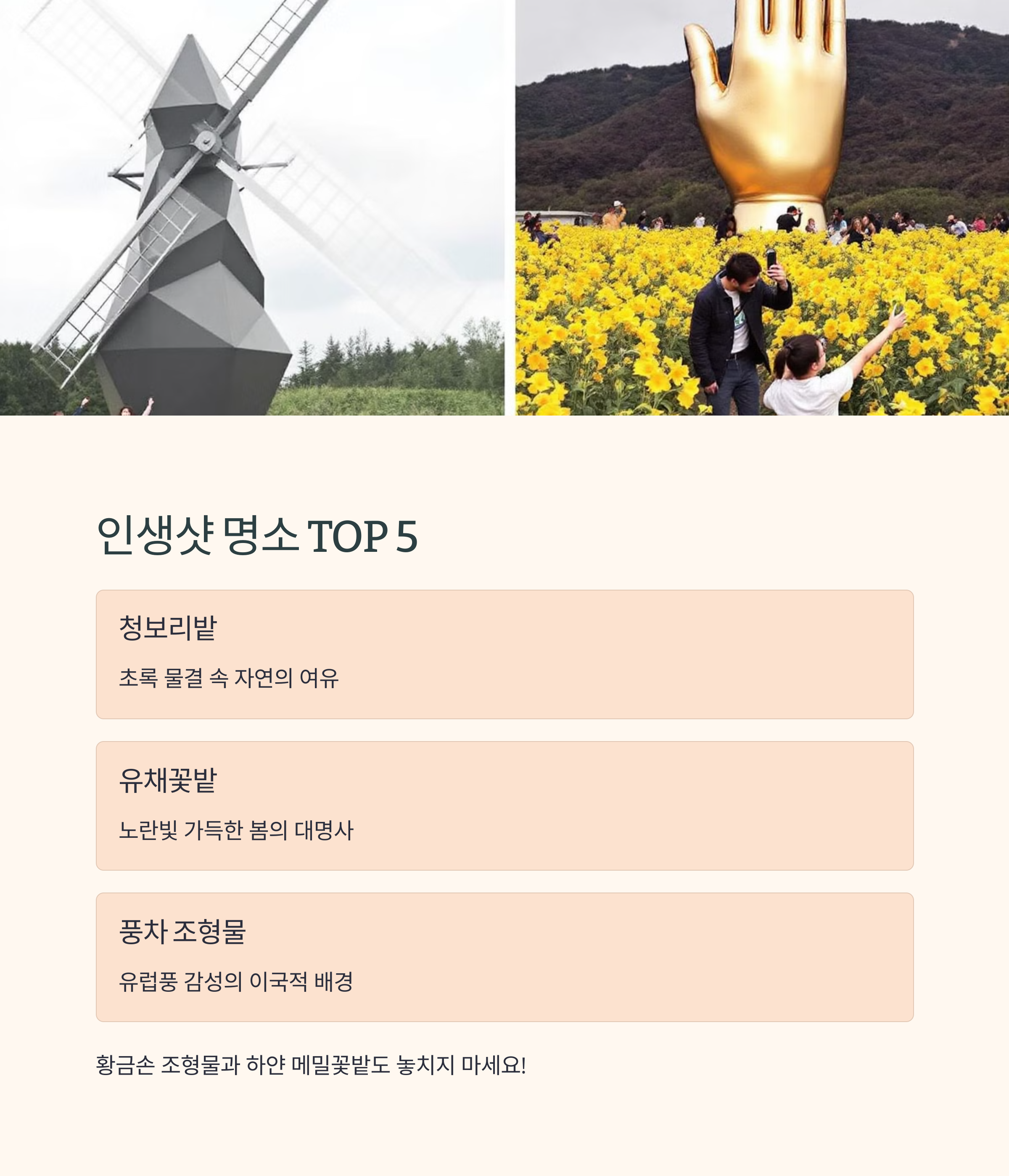 고창 학원농장 인생샷 베스트 5