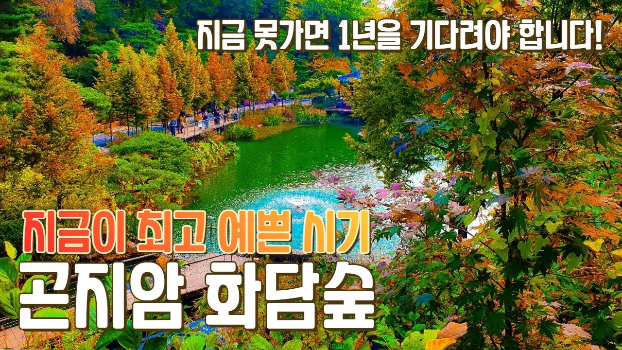 곤자엄화담숲-예약하기