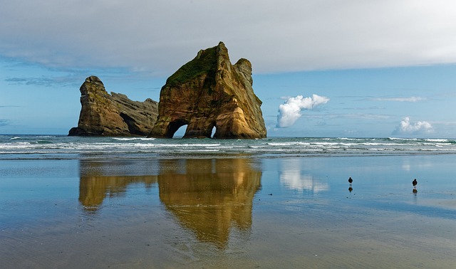 Piha beach