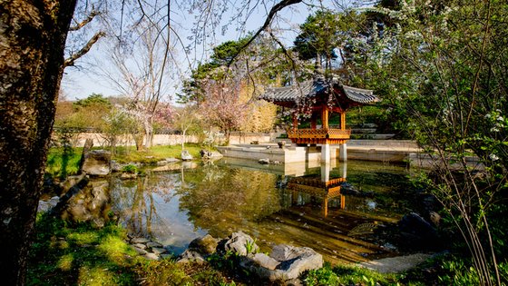 용인-호암미술관-희원
