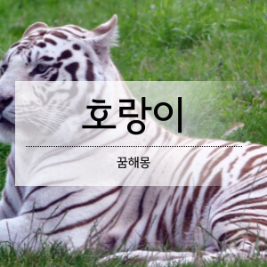 호랑이꿈해몽