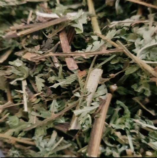 사철쑥 추출물을 가장 효과적으로 섭취하는 방법은 정제된 농축액이나 캡슐 형태의 영양제를 이용하는 것입니다.