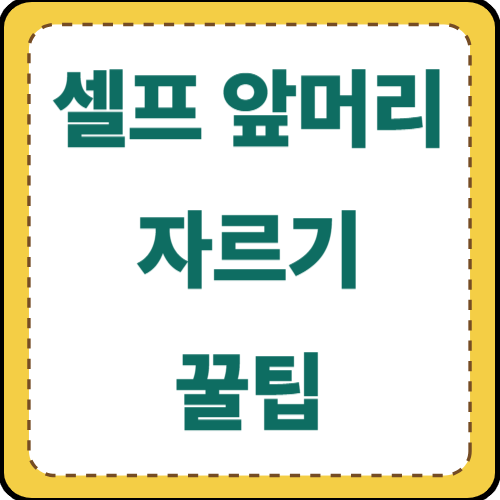 셀프-앞머리-자르기-썸네일