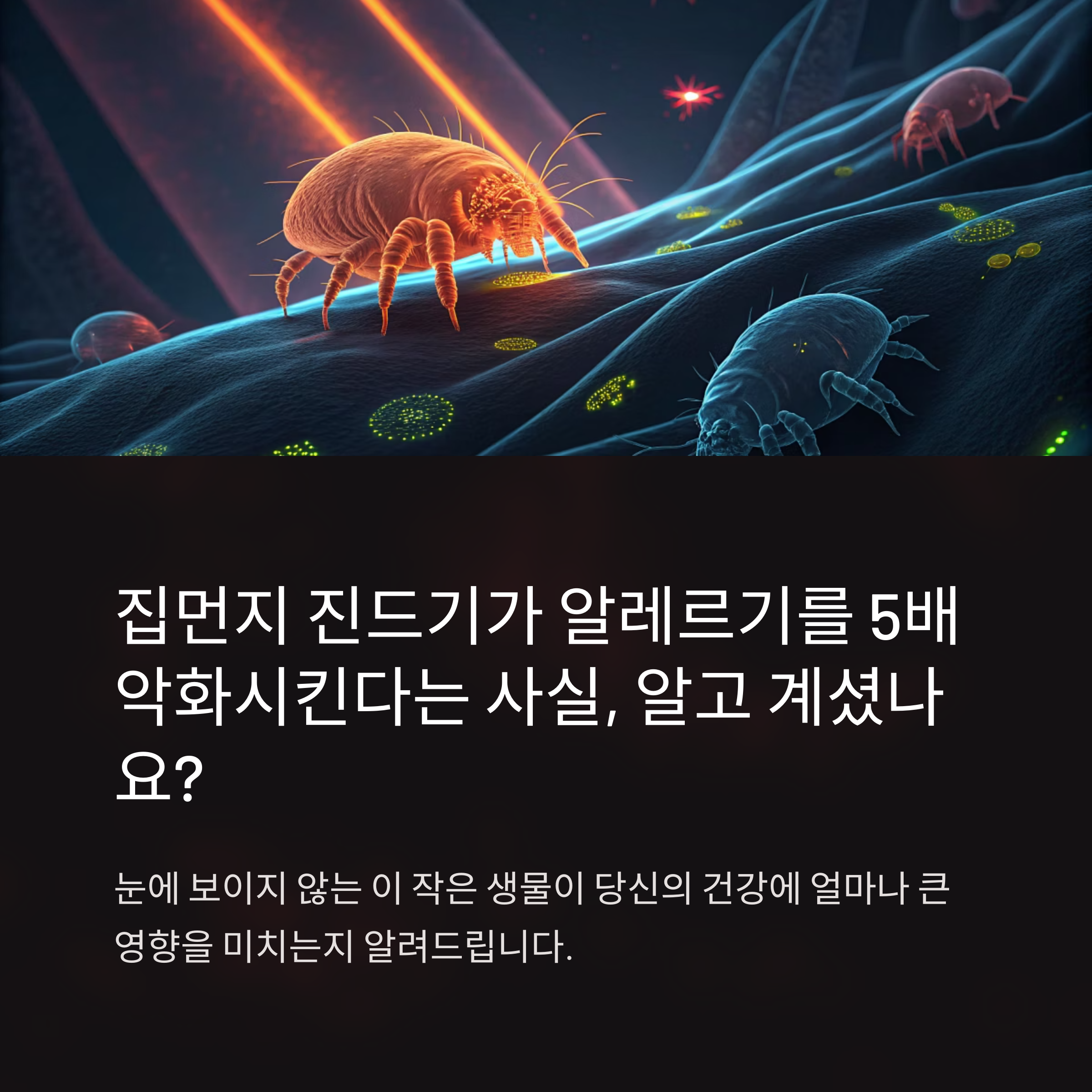 집먼지 진드기