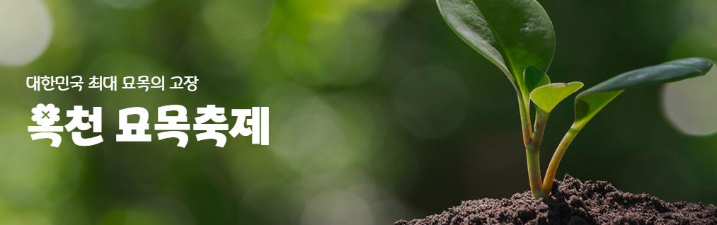 2024년 봄, 꽃 향기 가득한 설렘! 가족과 연인과 함께 떠나는 꽃놀이(ft.전국 꽃 행사 총 정리)