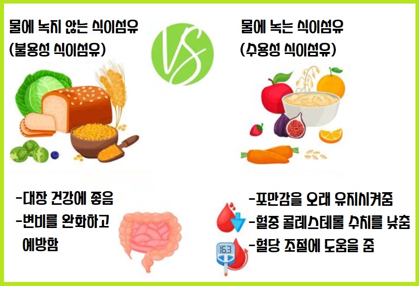 식이섬유 종류
