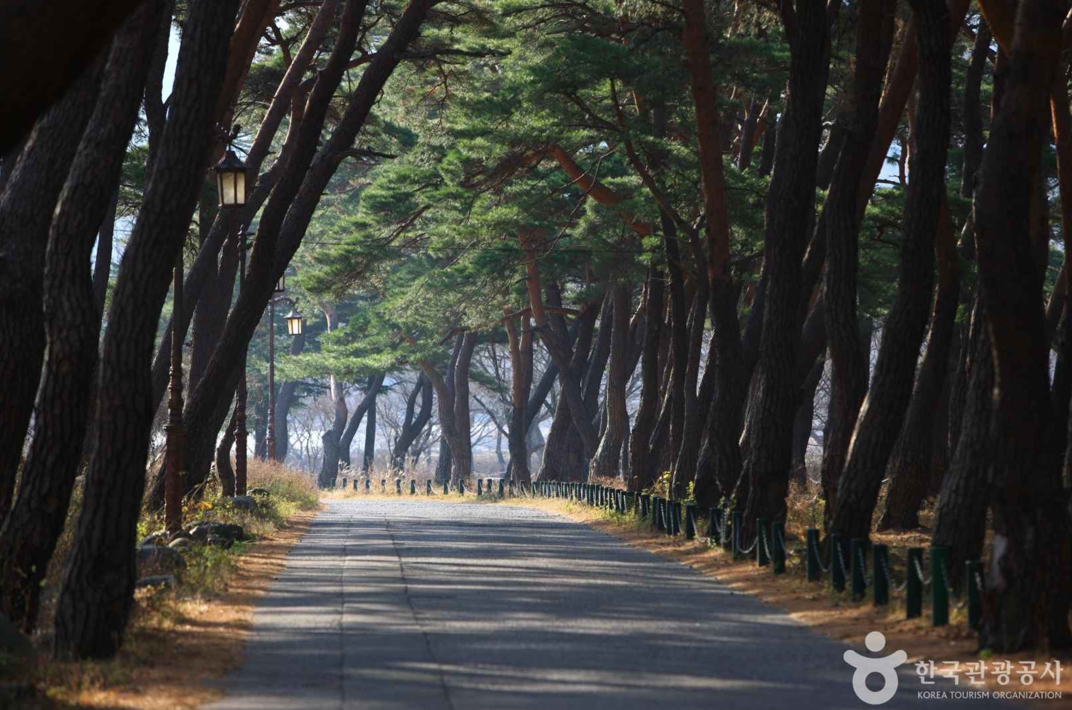 청도-운문산-자연휴양림
