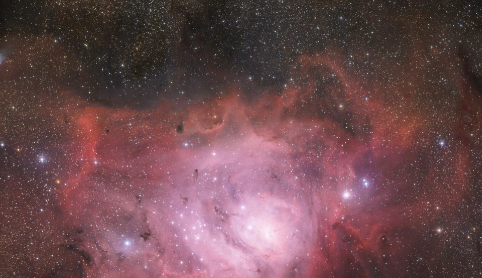 영화 어디갔어, 버나뎃, 상처받은 자존감에서 정체성 회복까지