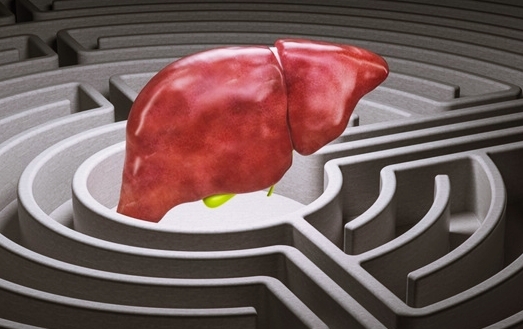 간수치가 높으면 나타나는 증상