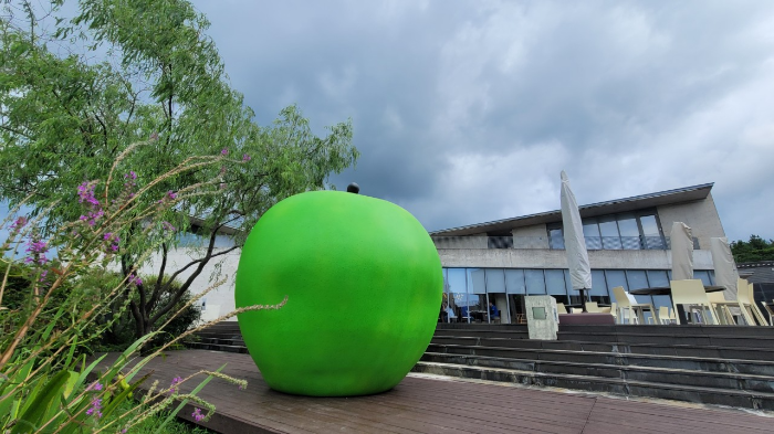 본태박물관 사진