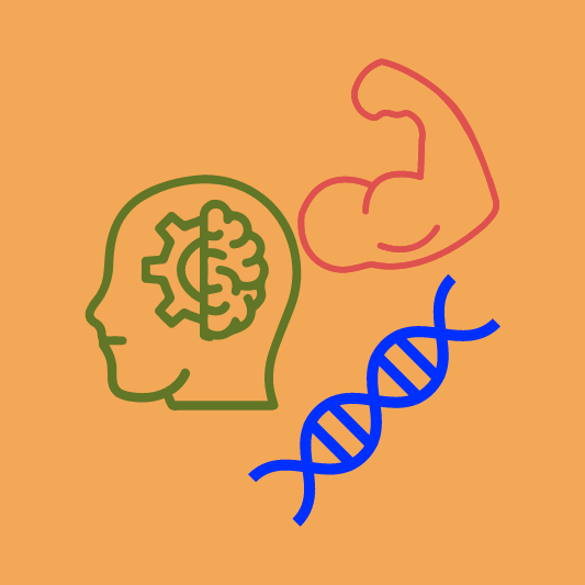 비타민B-이미지-예시