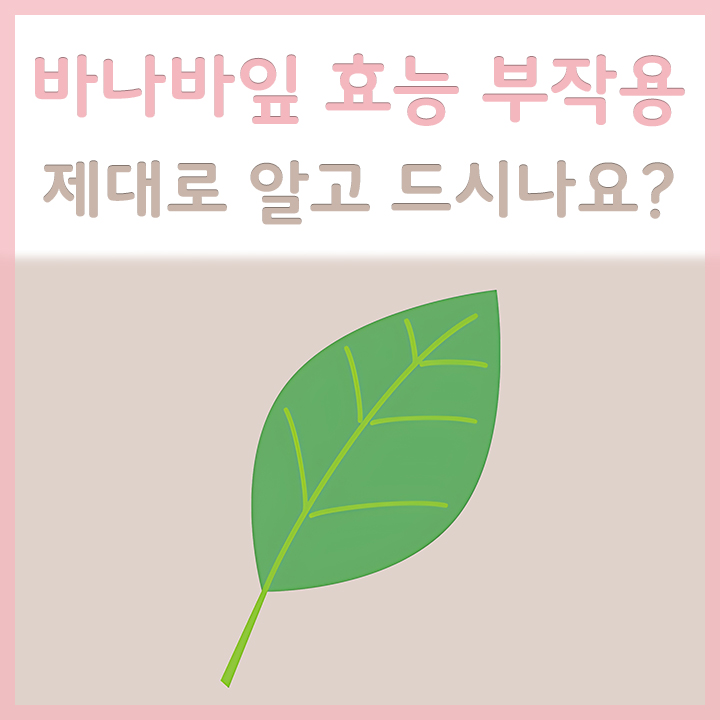 바나바잎의-모습