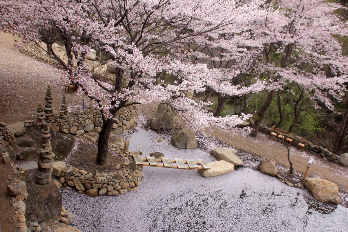 다소랑정원 모습