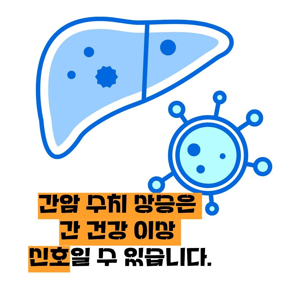 간암 수치 증가 신호