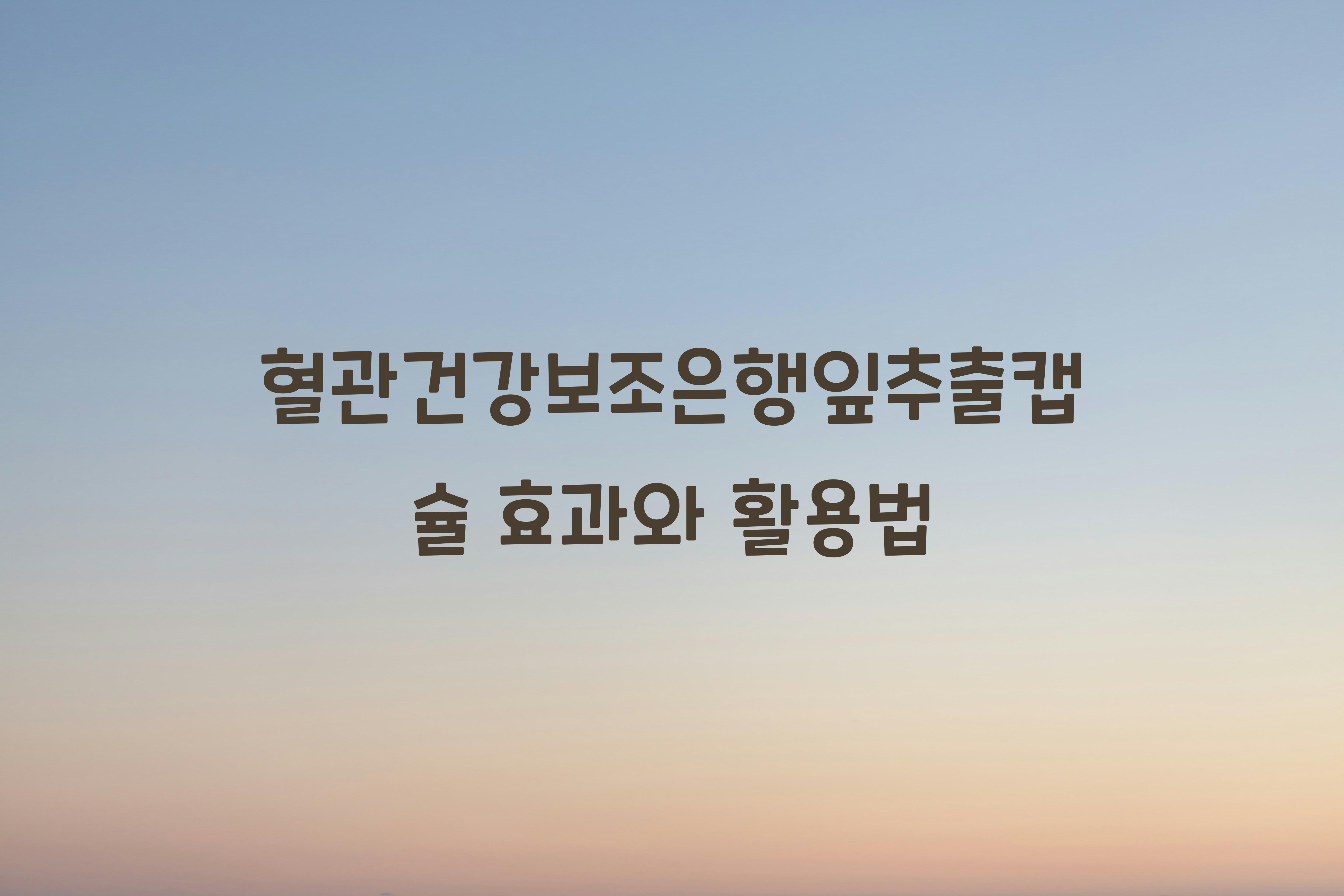 혈관건강보조은행잎추출캡슐