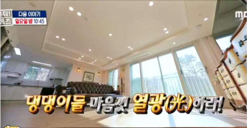 구해줘홈즈 1층집 바이브 동물병원 인접 남양주 다산동 전세 매매 매물 가격 및 구조 인테리어 리모델링 최종선택 강재준 양세찬 소개