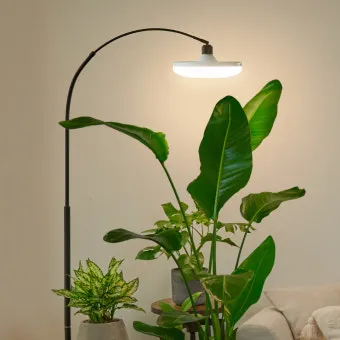 타이머 세팅 자동점등 소등루틴 식물등사용 습관 만들기 편리한 관리_3