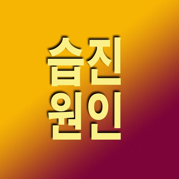 습진 원인