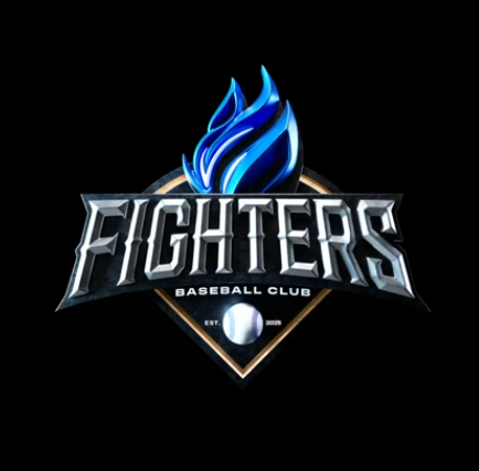 불꽃야구 직관 인하대 예매하기 생중계보기