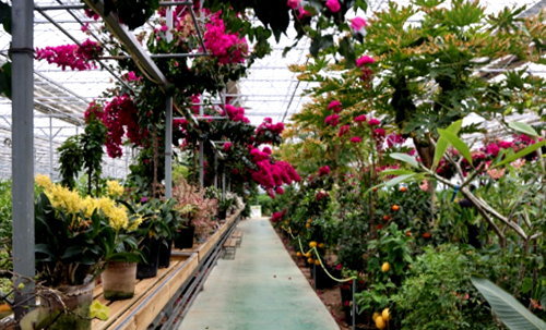 특색있고 아름다운 민간 정원 30선 추천 여행 - 25. 통영 동백커피식물원