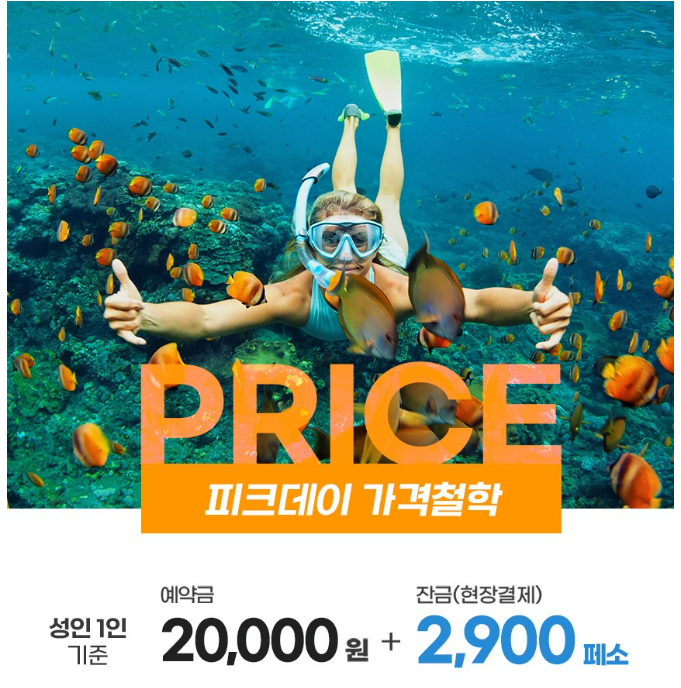 세부 피크데이 호핑